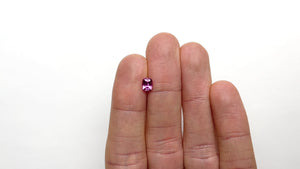 0.78ct 5.86x4.69x3.10mm Cushion Brilliant Sapphire 22137-01