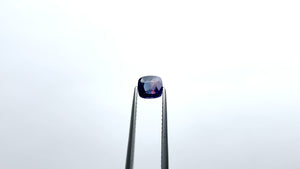 0.70ct 5.43x5.10x2.75mm Cushion Brilliant Sapphire 23008-01