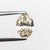 1.01ct 8.01x5.73x3.36mm GIA VS2 Champagne Oval Brilliant 21594-01