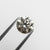 1.09ct 6.46x6.41x4.10mm SI1 C4 Modern Antique Old European Cut 🇨🇦 21817-01