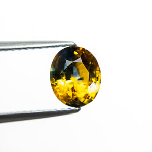 1.62ct 7.59x6.39x4.21mm Oval Brilliant Sapphire 22042-01