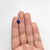 1.68ct 7.24x6.69x4.07mm Cushion Brilliant Sapphire 22147-01