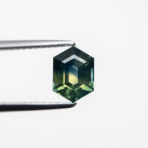 1.31ct 7.09x5.15x3.90mm Hexagon Step Cut Sapphire 22272-06 🇦🇺