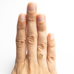 0.44ct 6.78x4.99x1.10mm Coffin Portrait Cut Sapphire 22411-01