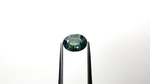 1.00ct 7.47x5.54x2.95mm Oval Brilliant Sapphire 19938-19