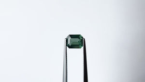 1.68ct 6.98x5.74x3.88mm Cut Corner Rectangle Step Cut Sapphire 22564-01