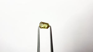0.56ct 6.62x4.32x2.20mm Shield Double Cut 18499-01