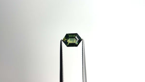 1.11ct 7.82x5.22x3.23 Hexagon Step Cut Sapphire 22272-28