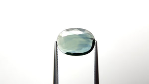 2.90ct 13.52x9.83x1.99mm Oval Portrait Cut Sapphire 19255-04