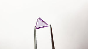 0.66ct 8.48x7.44x1.44mm Shield Portrait Cut Sapphire 22410-01