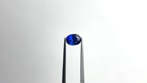 1.18ct 6.89x5.22x4.07mm Oval Brilliant Cut Sapphire 22011-01