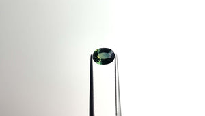 1.01ct 7.20x5.37x3.20mm Oval Brilliant Sapphire 22271-14 🇦🇺