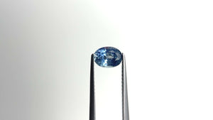 1.03ct 6.70x5.06x3.63mm Oval Brilliant Sapphire 19939-12