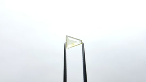 0.80ct 7.29x6.44x1.93mm Trapezoid Double Cut Sapphire 22434-93