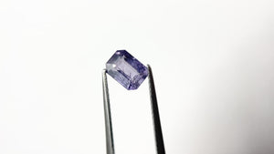 1.23ct 6.67x4.96x3.49mm Cut Corner Rectangle Step Cut Sapphire 22328-01
