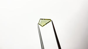 0.47ct 8.70x5.63x1.12mm Kite Portrait Cut Sapphire 22412-01