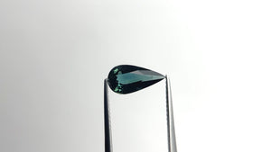 1.62ct 11.65x5.98x3.37mm Pear Brilliant Sapphire 20962-01 🇦🇺