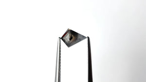 0.68ct 8.21x5.86x2.63mm Kite Rosecut 20916-05