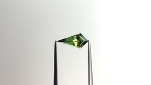 1.26ct 11.93x5.87x3.65mm Kite Step Cut Sapphire 22272-08