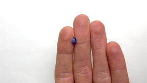 0.66ct 6.79x4.61x2.98mm Pear Brilliant Sapphire 22018-01