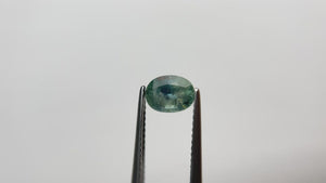 1.33ct 7.51x5.54x3.96mm Oval Brilliant Sapphire 19938-08