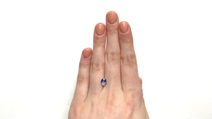 1.17ct 6.65x5.29x3.76mm Oval Brilliant Sapphire 23019-01