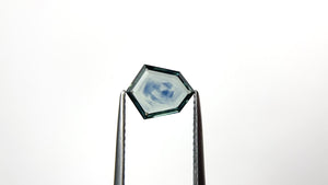 1.19ct 9.23x7.27x1.72mm Kite Portrait Cut Sapphire 20849-01