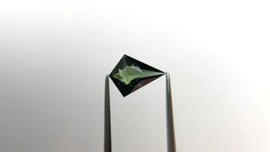 1.57ct 10.99x8.14x3.61mm Kite Brilliant Sapphire 20034-03