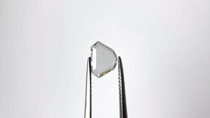 0.99ct 8.89x6.63x1.75mm VS1 E Shield Rosecut 20939-06