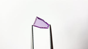 0.65ct 7.82x5.11x1.35mm Geometric Portrait Cut Sapphire 22408-01