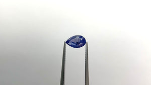 1.29ct 7.99x5.12x3.89mm Pear Brilliant Sapphire 22060-01