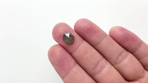 2.82ct 10.35x8.35x3.78mm Hexagon Rosecut 18221-02