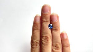 1.35ct 7.84x6.03x3.66mm Oval Brilliant Sapphire 22169-01