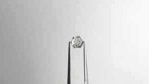 0.69ct 6.90x5.95x1.76mm Hexagon Portrait Cut 20026-14
