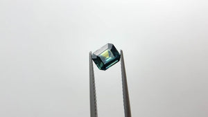 0.90ct 6.09x5.05x3.01mm Cut Corner Rectangle Step Cut Sapphire 19042-09