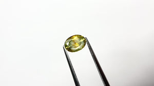 1.67ct 7.83x5.98x4.24mm Oval Brilliant Sapphire 22697-03