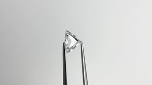 0.80ct 6.27x8.92x2.26mm SI1 D Trillion Rosecut 🇨🇦 21164-01