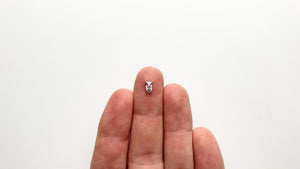 0.70ct 6.61x4.60x2.72mm Shield Rosecut 19617-01