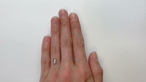 0.70ct 4.66x7.83x2.16mm Salt and Pepper Hexagon Rosecut 18308-02