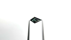 0.89ct 9.22x5.08x3.45mm Kite Step Cut Sapphire 22267-16