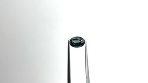 1.42ct 7.90x5.69x3.62mm Oval Brilliant Sapphire 20962-05