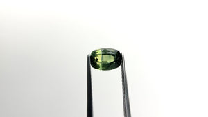 1.70ct 7.92x5.62x3.96mm Cushion Brilliant Sapphire 22299-06