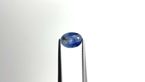0.89ct 6.94x5.05x2.94mm Oval Brilliant Sapphire 19939-18