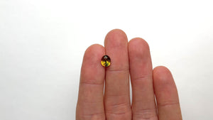 1.62ct 7.59x6.39x4.21mm Oval Brilliant Sapphire 22042-01