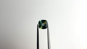 1.47ct 6.55x6.43x3.92mm Cushion Brilliant Sapphire 22291-10 🇦🇺