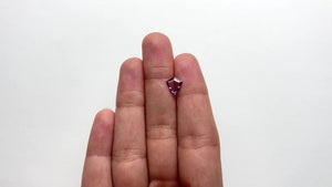 0.96ct 8.27x7.78x1.73mm Shield Portrait Cut Sapphire 22888-01