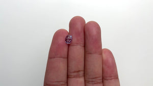 0.95ct 7.83x5.81x2.67mm Oval Double Cut Sapphire 20823-01