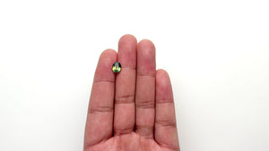 2.06ct 8.36x6.40x4.26mm Oval Brilliant Sapphire 22300-01