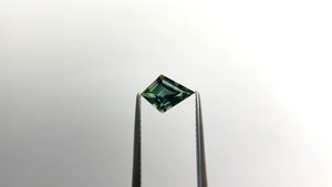 0.94ct 8.65x6.29x3.51mm Kite Step Cut Sapphire 22267-10