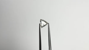 0.73ct 6.65x6.84x2.22mm SI1 L Trillion Rosecut 🇨🇦 21370-01